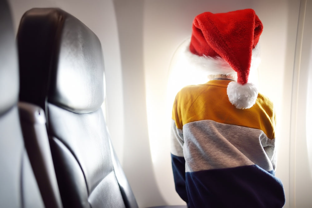 Travel Tips for Easier and Safer Holiday Trips