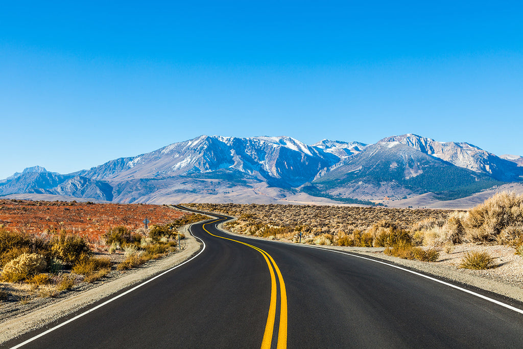 Road Trip Packing List and Five Things to Consider While Planning