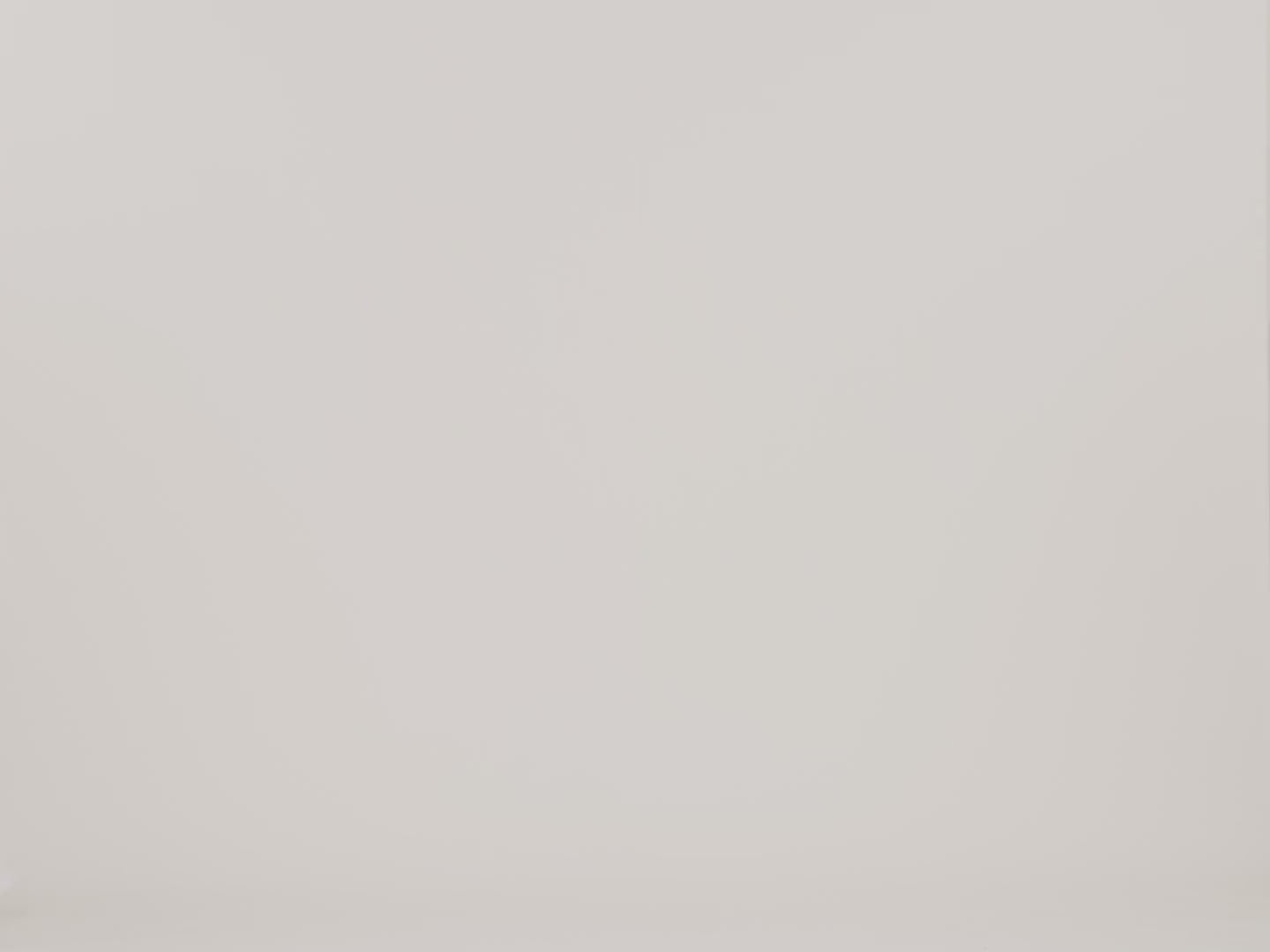 401259101
